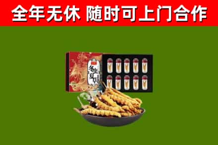 息市回收冬虫夏草价格